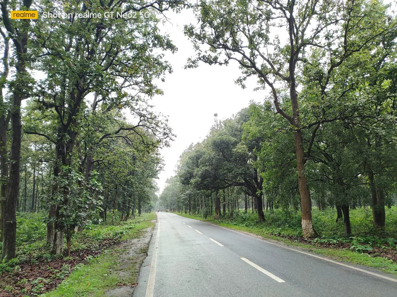 BIT Mesra Campus photo 16